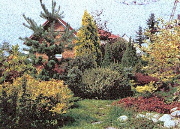 Projektowanie ogrodów to nasz pasja, Ślask Cieszński, śląskie