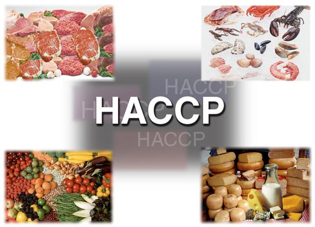 HACCP GMP/GHP Szkolenia PROFESJONALNIE!! AllProfit, Opole, opolskie