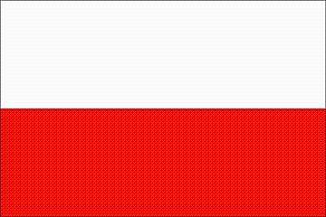 Lekcje polskiego dla obcokrajowców, Białystok, podlaskie