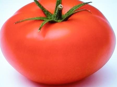 Pomidory-produkcja,sprzedaż,export, Kalisz, wielkopolskie