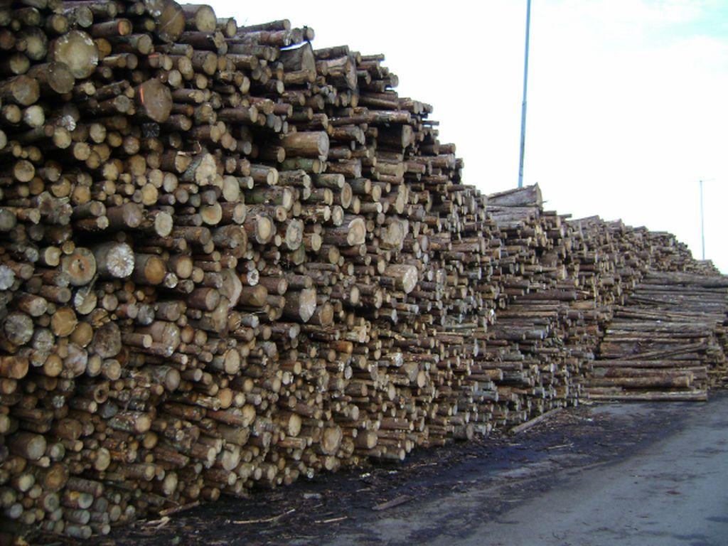 Drewno, więźby dachowe, tartcica, deski, sklejka, Szczecin, zachodniopomorskie