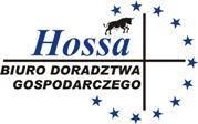 Logo BDG HOSSA