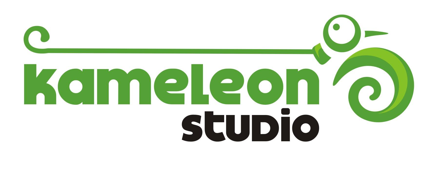 Kameleon Studio, marketing, reklama, PR, internet, Poznań, wielkopolskie