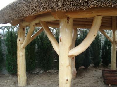 Altany pod strzecha trzcina altanki z bali 8500zÅ konin zlecenia ... Altanki z bali