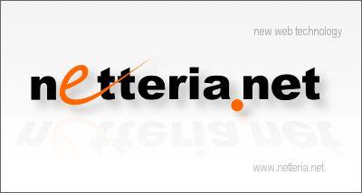 Netteria.NET - profesjonalne aplikacje web