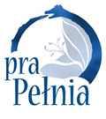 www.prapelnia.pl