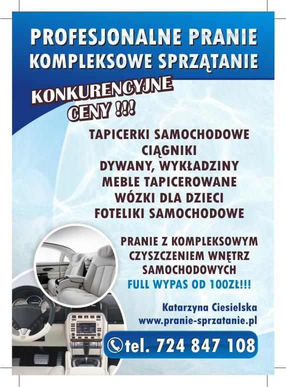 http://www.pranie-sprzatanie.pl/oferta.html