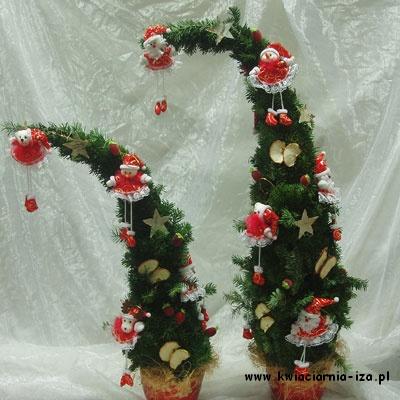 Choinki z żywej choinki, dekoracje świąteczne