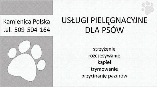 Usługi pielęgnacyjne dla psów, Częstochowa Kamienica Polska, śląskie
