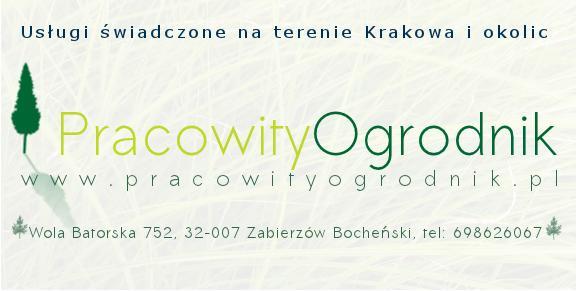 Profesjonalna wycinka drzew, karczowanie terenu., Stanisławice, Mikluszowice, Cikowice, małopolskie