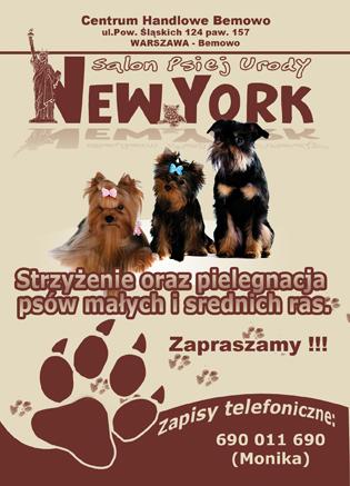 NEW YORK to salon psiej urody działający w Warszaw, Warszawa, mazowieckie