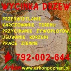 Wycinka drzew karczowanie rozbiórki wyburzenia, Poznań, wielkopolskie