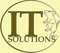  IT Solutions