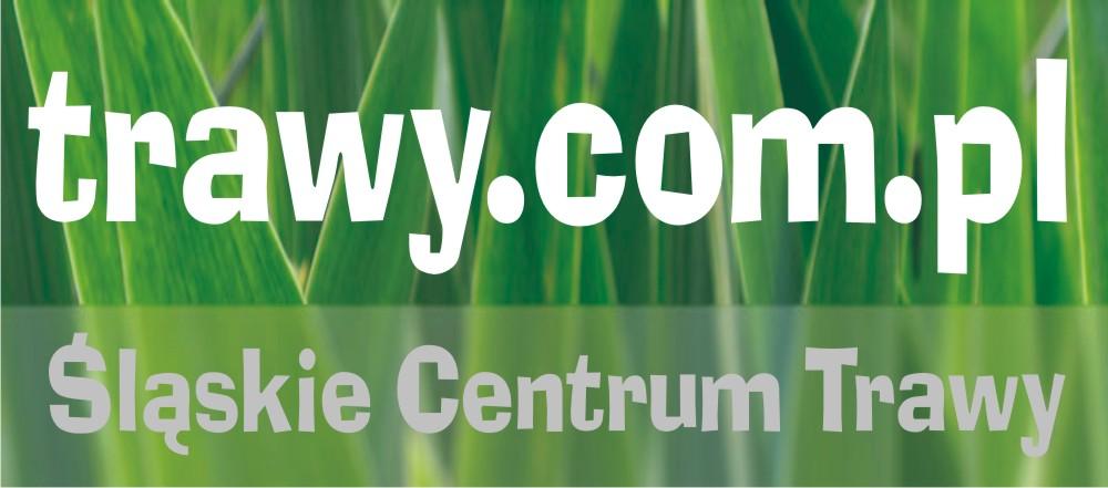 Zakładanie trawników - siew, hydrosiew, trawa z rolki, Pszczyna, Tychy, Katowice, Bielsko-Biała, Gliwice, śląskie