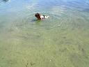 Kąpiel małego dziecka w jeziorze powidzkim