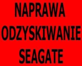  Naprawa dysków Seagate ES2 ES.2 Odzyskiwanie danych , Łaziska Górne,Mikołów,Tychy,Katowice, śląskie