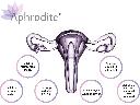 Aphrodite - Rewitalizacja laserowa pochwy i sromu