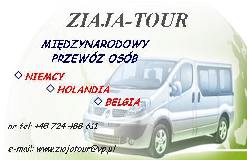Miedzynarodowy Transport Osób Bus 9-os z adresu na adres, małopolskie