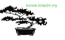 Bonsai.sklep24.org