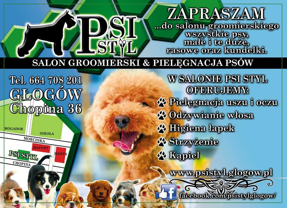 PSI STYL - Salon Groomeski, pielęgnacja psów, strzyżenie psów, Głogów, dolnośląskie