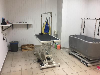 Pielęgnacja I Zdrowie Zwierząt Bydgoszcz Usługi Wppl