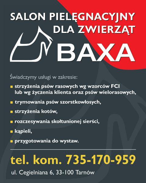  Baxa Tarnów Salon Pielęgnacyjny dla Zwierząt , małopolskie
