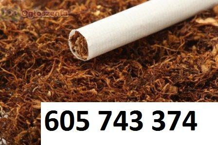 Tyton dobry tani tytoń papierosowy tyton do palenia do gilz Gwaranja, Poznan, wielkopolskie