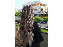 Warkoczyki afrykańskie braids kolorowe warkoczyki na całej głowie, Toruń (kujawsko-pomorskie)