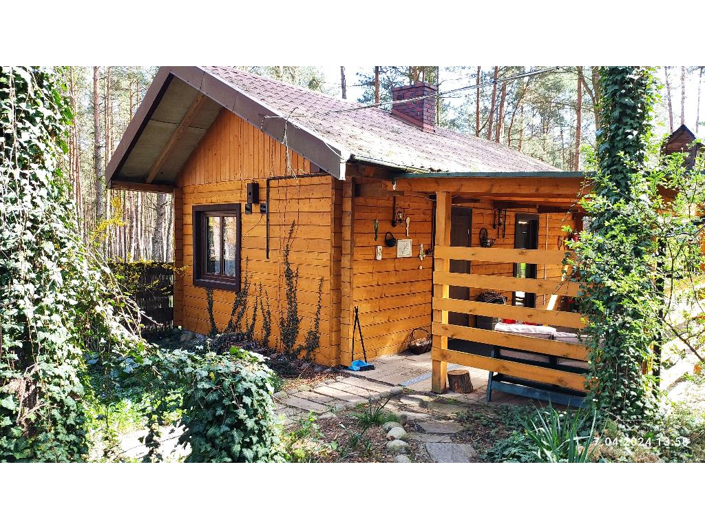 Domek Całoroczny w lesie nad jeziorem Sulejowskim, Barkowice Mokre, łódzkie