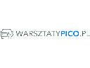 Warsztaty PicoScope, Warszawa (mazowieckie)
