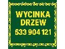 Wycinka drzew Poznań i okolice,  (wielkopolskie)