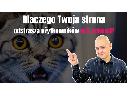Strony internetowe, prowadzenie Fanpage Facebook, Blog Firmowy SEO,  (cała Polska)