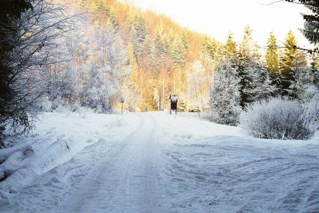 Narty - noclegi - Piwniczna Zdrój., małopolskie