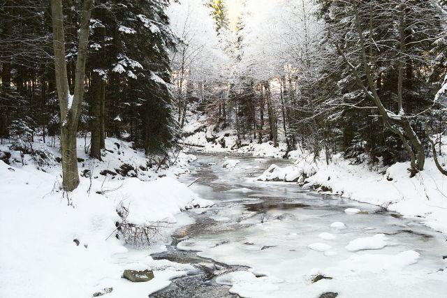 Narty - noclegi - Piwniczna Zdrój., małopolskie