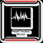 Mega Music Wilga koło Warszawy, mazowieckie