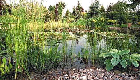 PROJEKTOWANIE OGRODÓW - SZYBKO i GUSTOWNIE, Łódź, mazowieckie