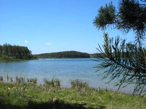 Olpuch - drewniany domek letniskowy do wynajęcia, pomorskie