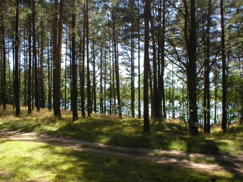 Olpuch - drewniany domek letniskowy do wynajęcia, pomorskie