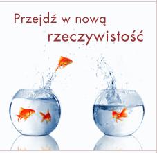 LitGraf Agencja Interaktywna Szyldy / Reklamy, Kozy, śląskie