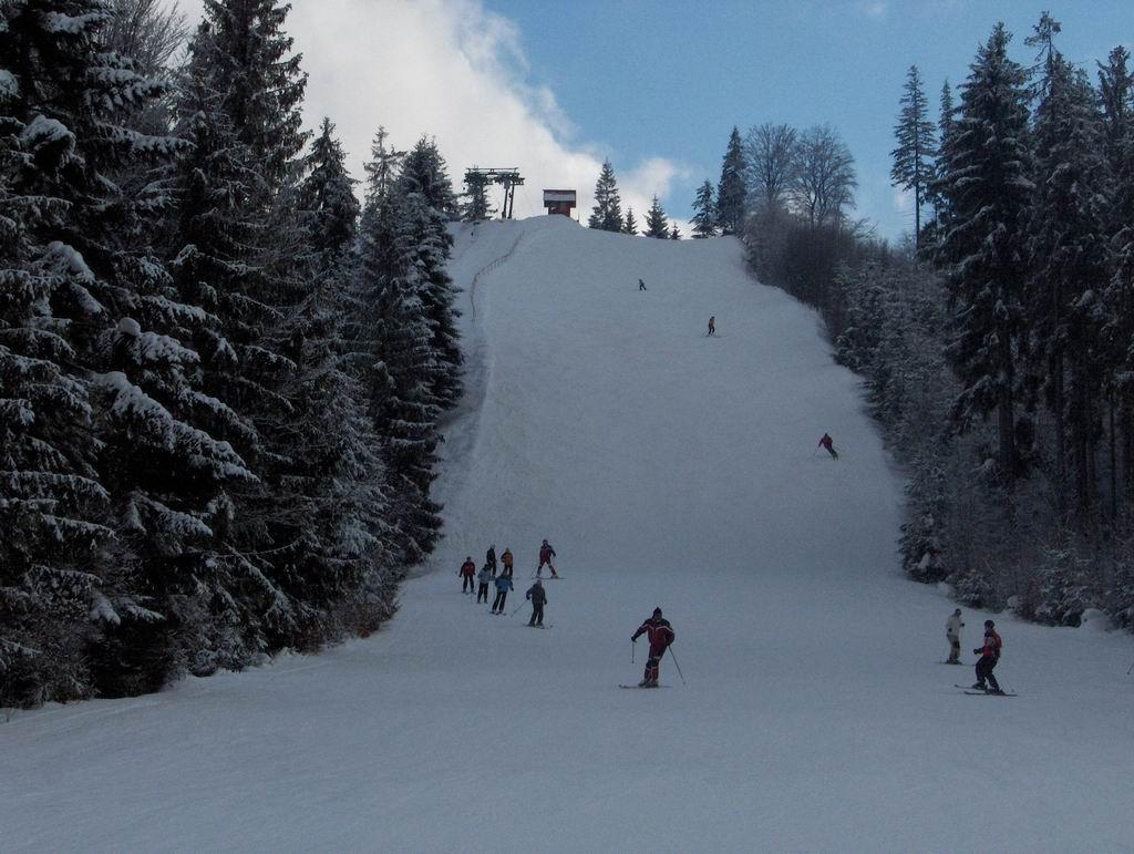 Szkoła narciarska - indywidualnie i grupowo., Ustroń, śląskie