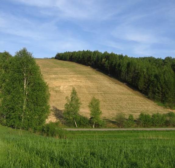 Nauka jazdy na nartach! Piękne okolice! , Bytom, śląskie