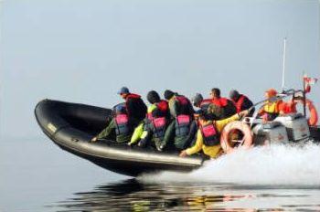 Ponton RIB HUMBER - zabawa na całego!, Warszawa, mazowieckie