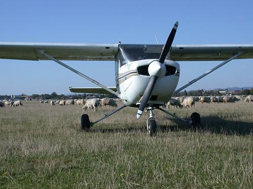 Hangarowanie samolotów! Jedyne na favore.pl!, Warszawa, mazowieckie