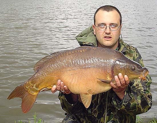 Karpie po 10 kg czekaja ZOBACZ FOTY !!!!!!, Stojkowo, zachodniopomorskie