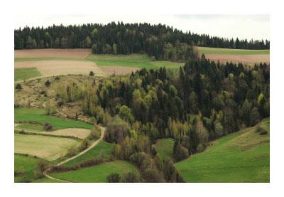 Fotografia ślubna, wesela, plenery, portrety..., Zduńska Wola, łódzkie