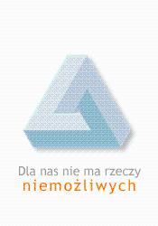 Outsourcing Informatyczny dla Firm!! , Bielsko-Biała, śląskie