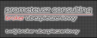 OBSŁUGA BROKERSKA Kompleksowo i profesjonalnie!!!, Konin, wielkopolskie