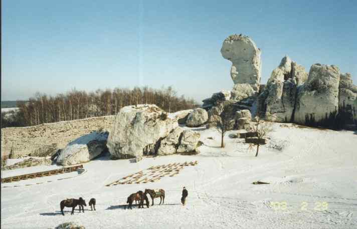 Krakow Valley Golf  Country Club-Jazda konna, Krzeszowice, małopolskie