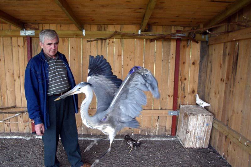 Ośrodek Pomocy Dzikim Zwierzętom w Ostrowie, Chęciny, świętokrzyskie