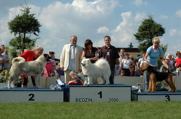 II KRAJOWA WYSTAWA PSÓW RASOWYCH - Będzin, śląskie